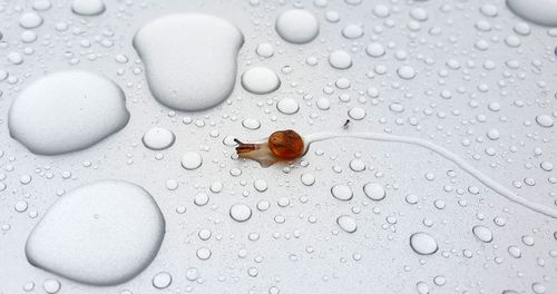 Close-up of raindrops on glass