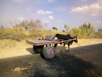 View of horse cart on beach