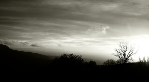 Silhouette trees on landscape against sky at sunset