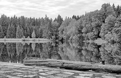 Scenic view of lake in forest against sky
