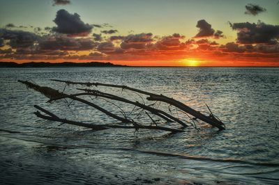 Scenic view of sea at sunset