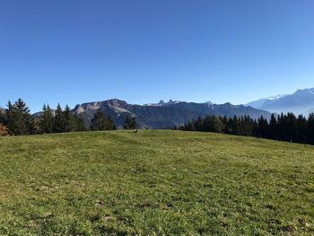 Scenic view of field against clear blue sky