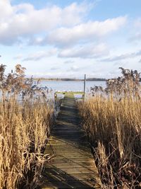 Footpath by sea against sky