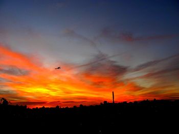 Silhouette birds flying against dramatic sky during sunset