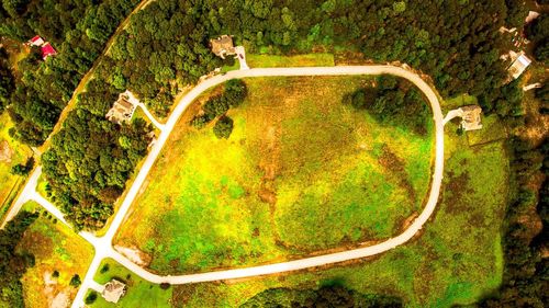 High angle view of road amidst trees in forest