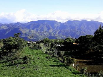 Scenic view of landscape against sky