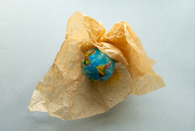 Globe in a kraft bag, recycling concept