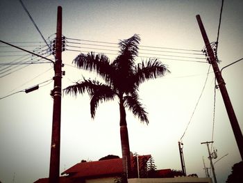 power line