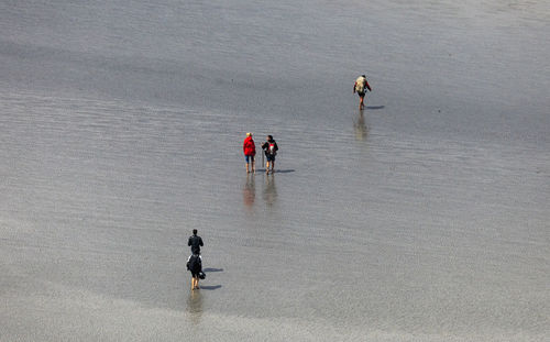 High angle view of people walking on beach