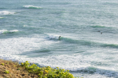 High angle view of bird on beach