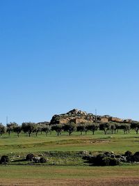 Scenic view of field against clear blue sky