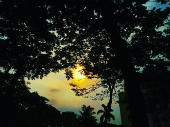 Silhouette of trees against sky at sunset