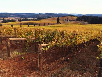 Scenic view of landscape with mountains in background