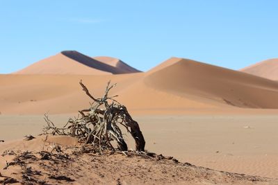 Scenic view of desert against clear sky