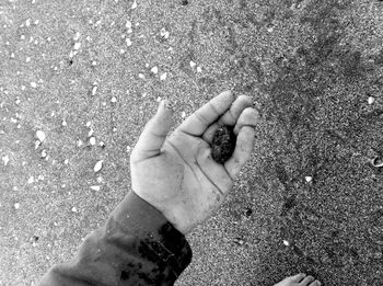 High angle view of stone on human palm