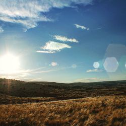 Scenic view of grassy field against sky