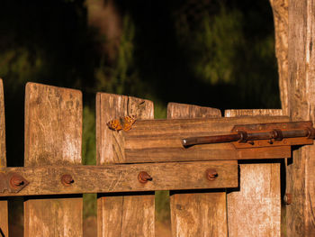 Close-up of rusty metal