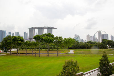 Trees and buildings in city against sky