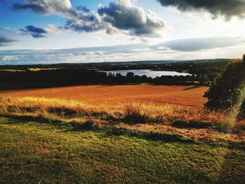 Scenic view of field against sky