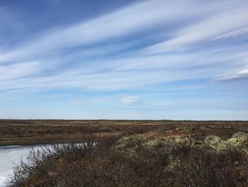 Scenic view of field against sky