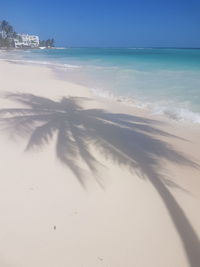 Scenic view of beach against clear sky