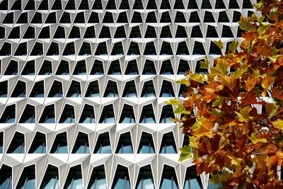 Low angle view of modern building