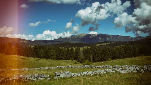 Scenic view of landscape against sky