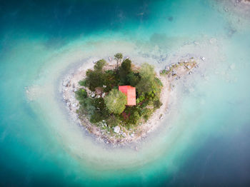 High angle view of plants by sea