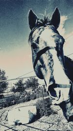 Close-up of man against sky