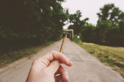 Close-up of hand holding marijuana joint on road