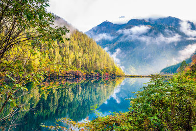 Scenic view of forest mountains and river