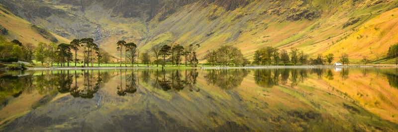 Buttermere pines in near perfect reflections at sunrise, with the old char hut