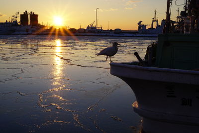 Seagull perching on harbor against sky during sunset