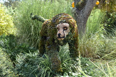Statue amidst trees in grass