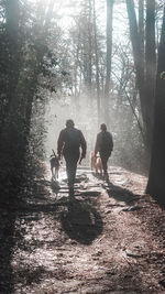 Rear view of people walking in foggy forest 