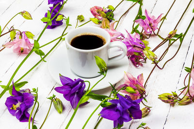 Close-up of purple and white flowers on table