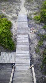 High angle view of steps amidst trees