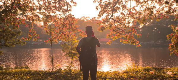 Rear view of silhouette man standing by tree