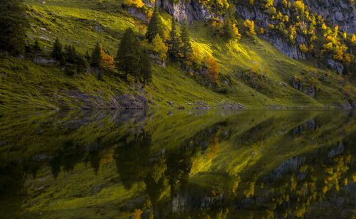 Scenic view of lake in forest during autumn