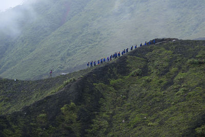 High angle view of people on landscape