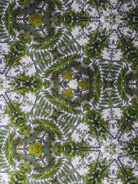 Full frame shot of tree