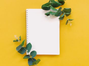 High angle view of yellow and leaves on table