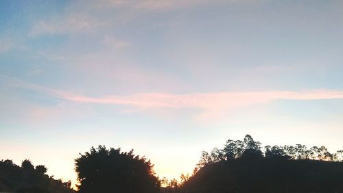 Low angle view of silhouette trees against sky at sunset