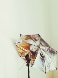 studio shot