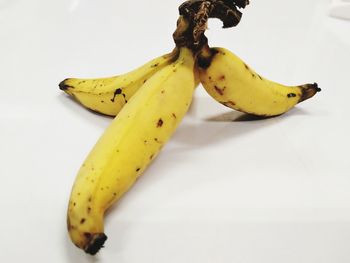 Close-up of fruits against white background