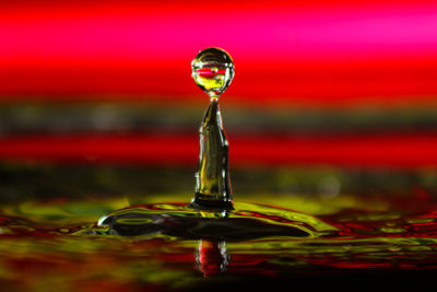 Close-up of drop on water