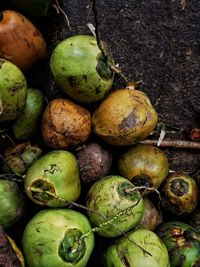 High angle view of fruits