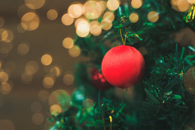 Close-up of christmas tree