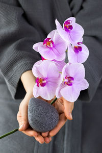 Background with konjac sponge and branch of beautiful pink orchids in a female hands. 