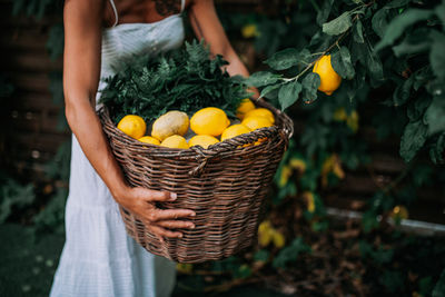 Midsection of man holding fruits in basket